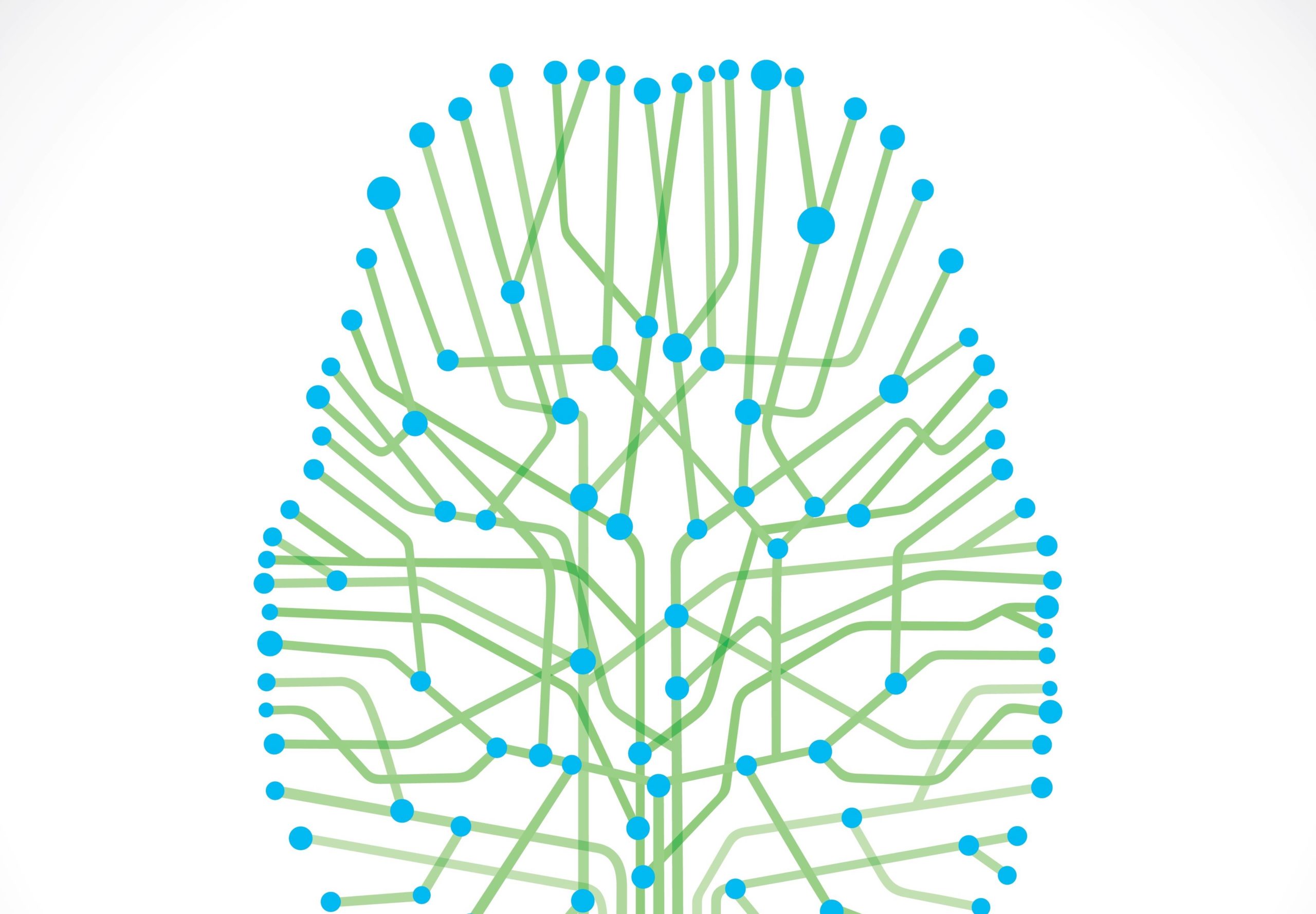 conexiones cerebro_EMDR cursos básicos Imaya