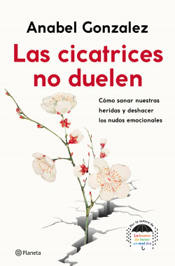 las-cicatrices-no-duelen_anabel-gonzalez